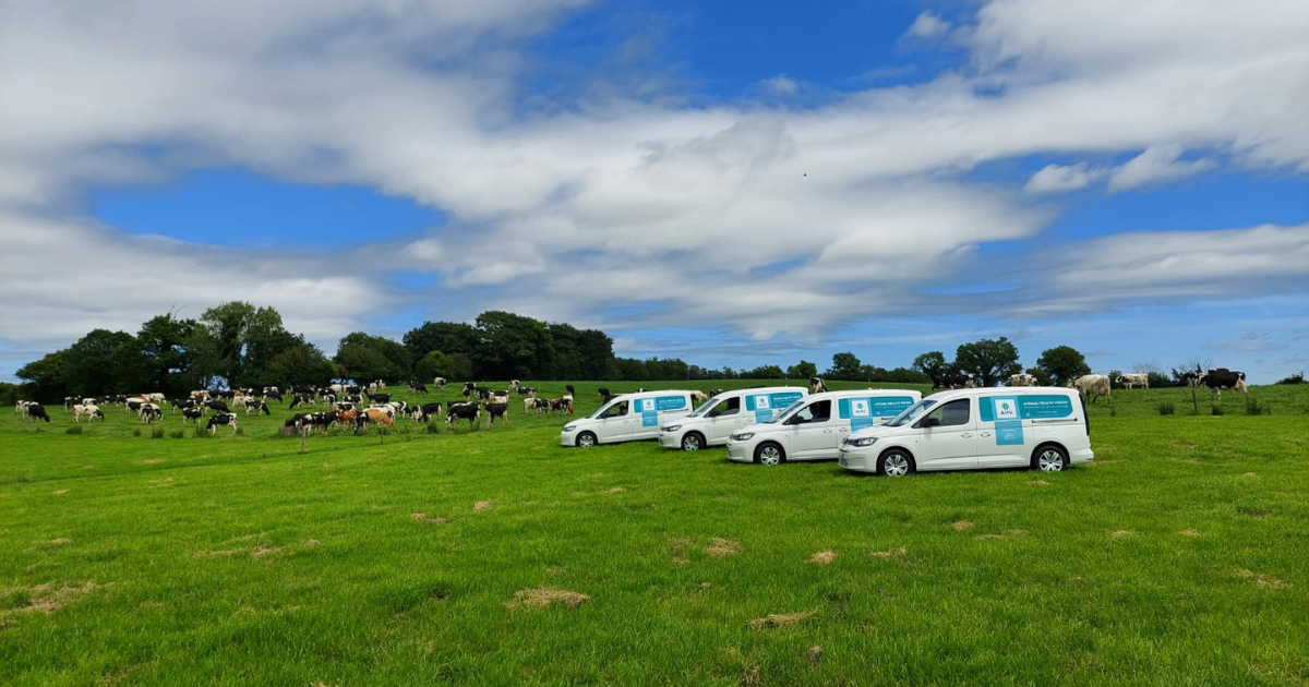 AHV vans in field with herd of cows