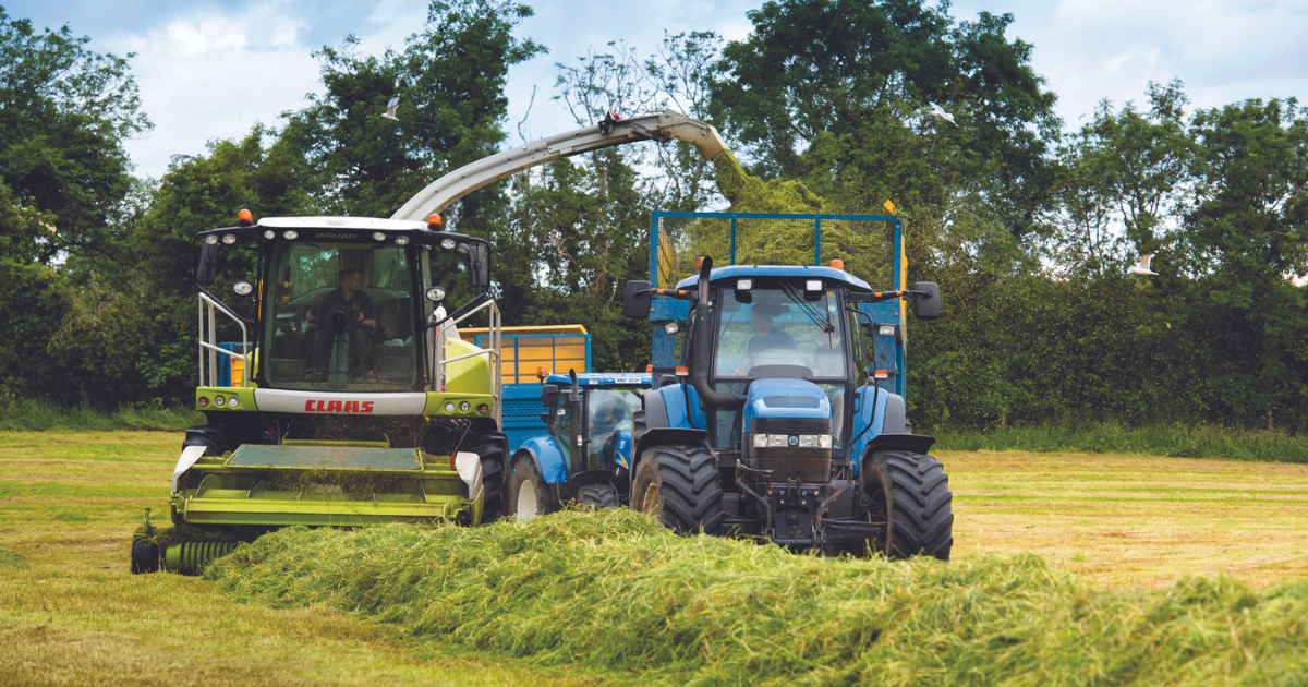 Combine and tractor collecting silage