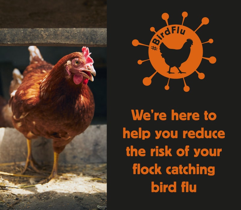 We’re here to  help you reduce  the risk of your  flock catching  bird flu