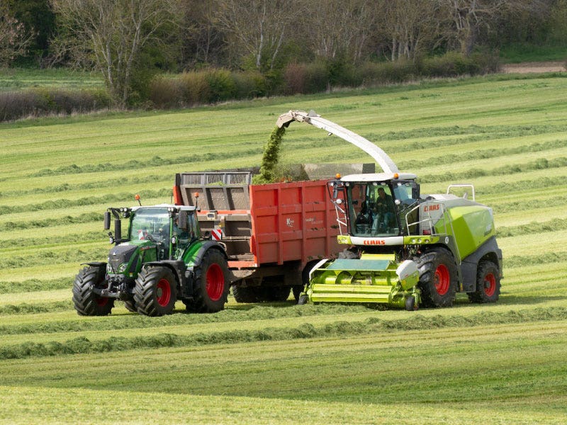 Carry out a silage analysis