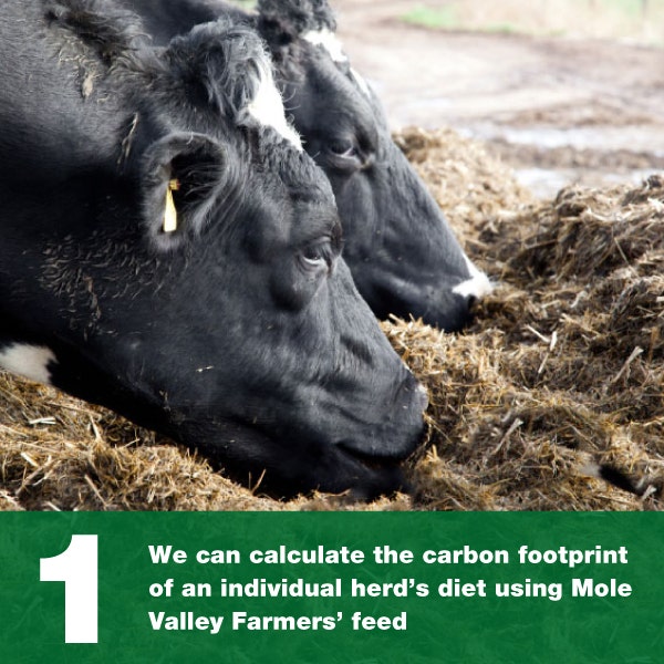 We can calculate the carbon footprint of an individual herd's diet using Mole Valley Farmer's feeds
